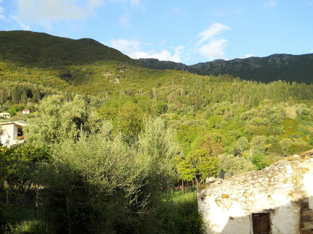 Studios Lefkada Sívros Oda fotoğraf